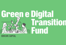 green digital transition fund